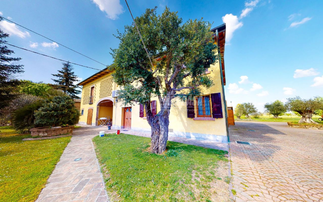 Case In Affitto Mirandola Piano Terra